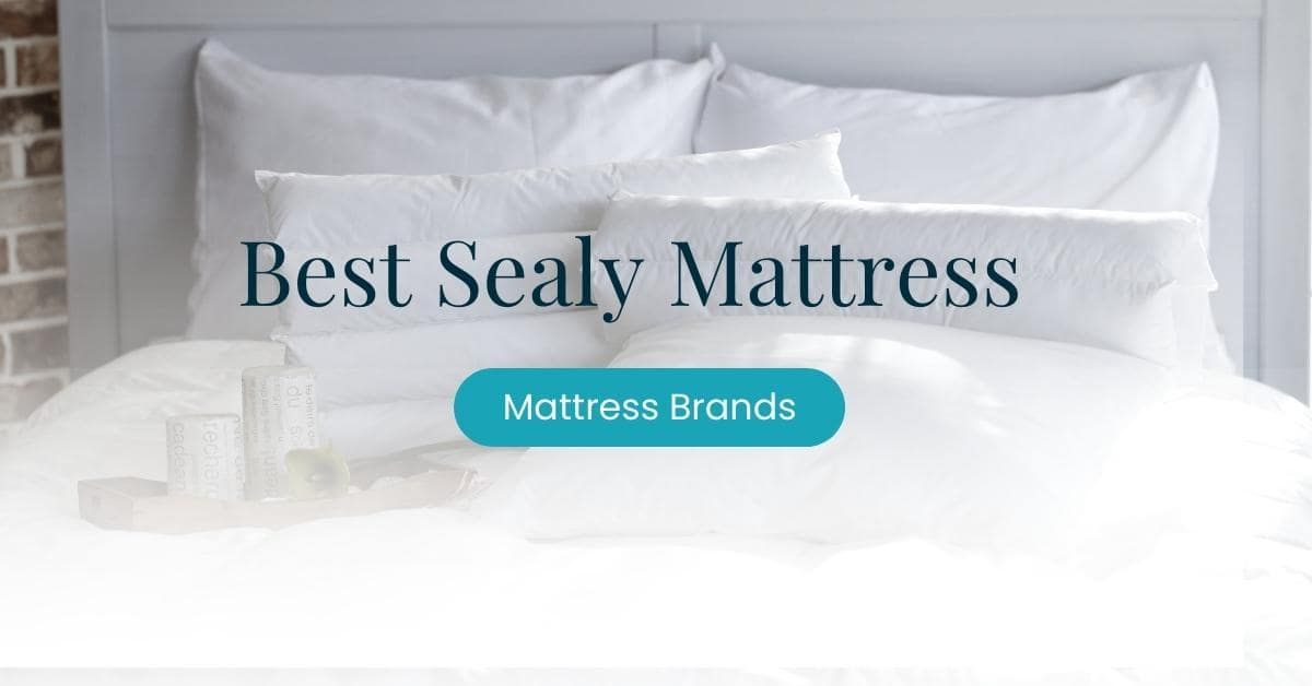 Best Sealy Mattress 2022 – Which is the Best for You?