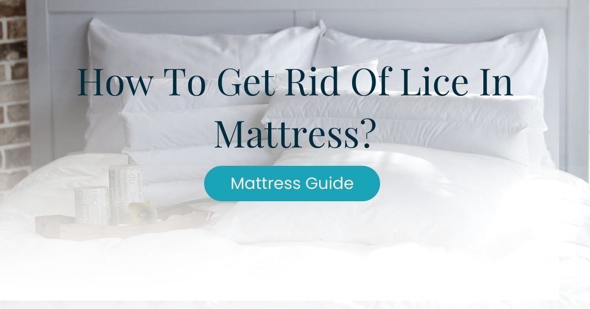 How To Get Rid Of Lice In Mattress