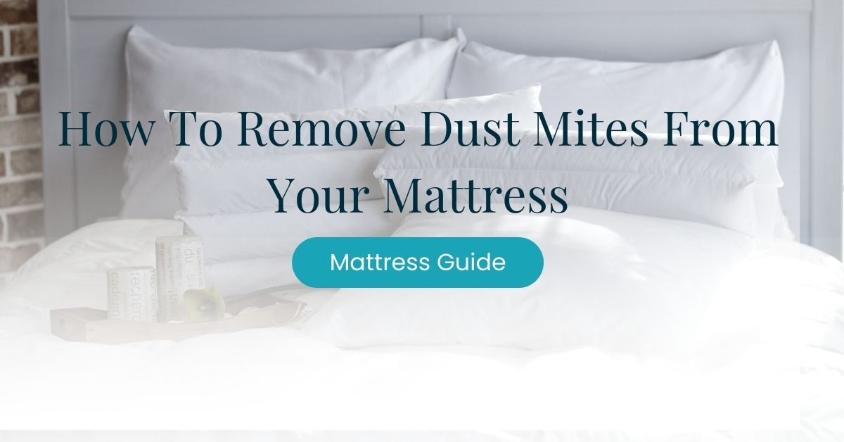 how to remove dust mites on mattress