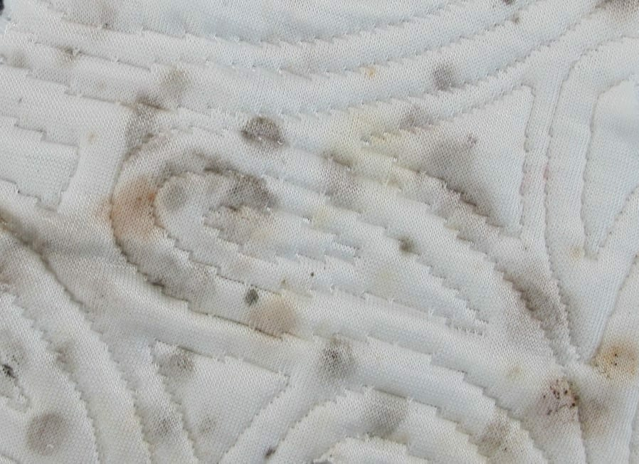 dark coloured mould stains on mattress