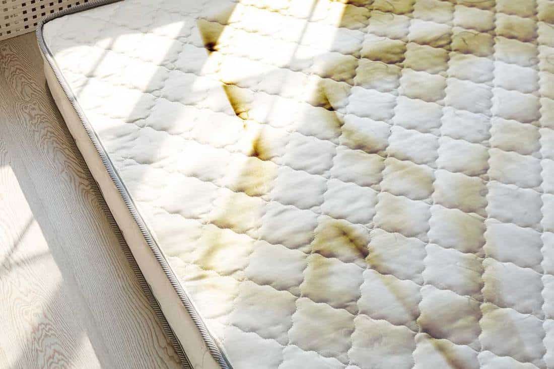 yellow stains on patterned mattress